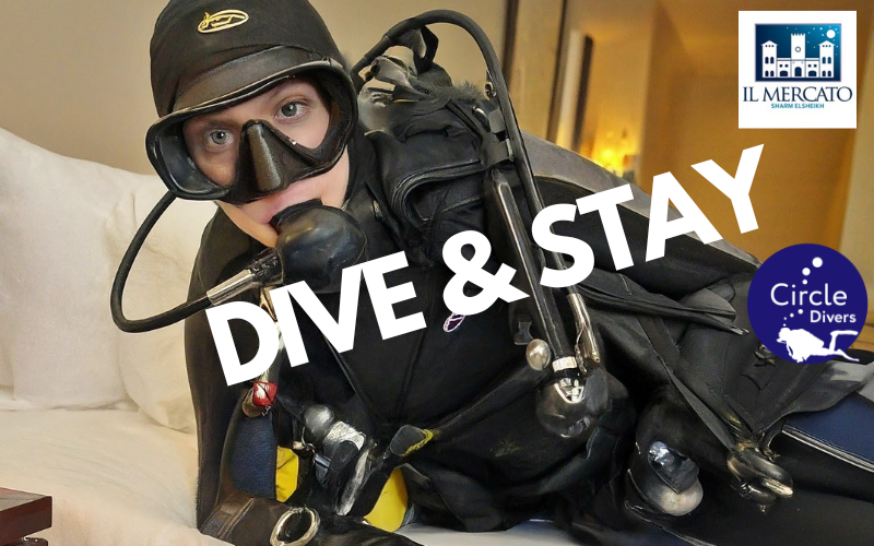 ** NEW ** Dive & Stay Package